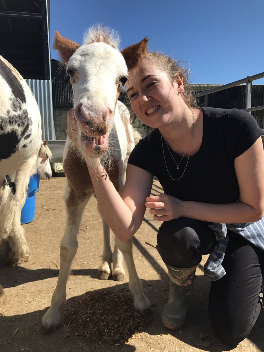 Smile, it's contagious! #theretreatanimalrescue #babybillie #happylife #sanctuary #rescued #horseteam #smilewithfriends #summerfun
