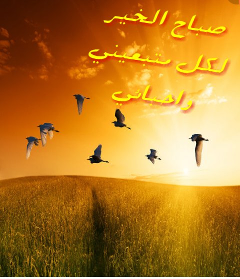 k_o_k_y89 (@sajida_hani) on Twitter photo 