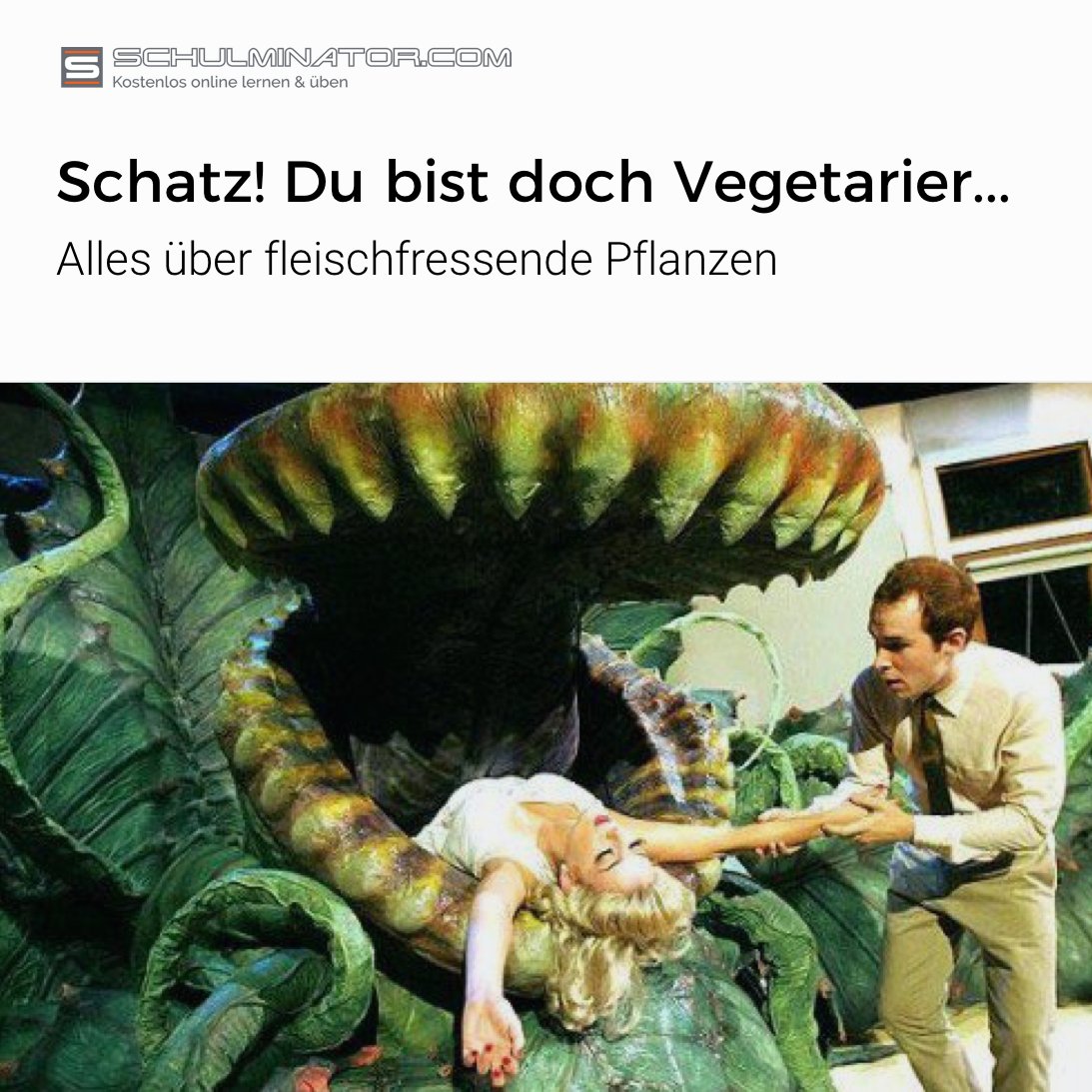 Featured image of post Schulminator Schulminator com auf schulminator com kannst du kostenlos online lernen und ben