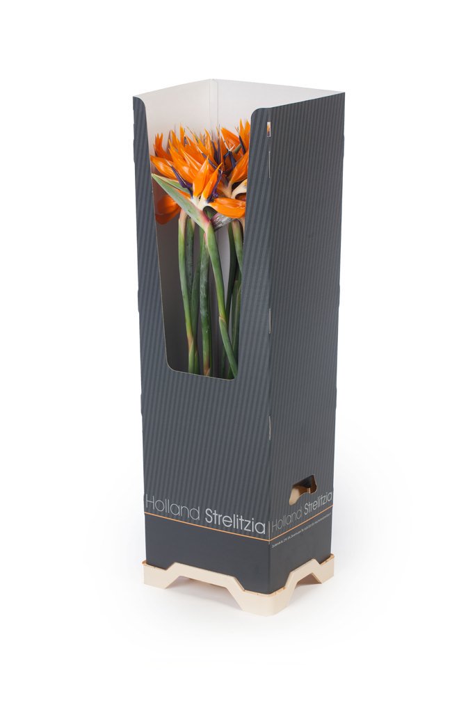 Order your aquabox Strelitzia now in webshop from @fleurametz_de <a href="/fleurametz_en/">FleuraMetz_official</a> @fleurametz_nl #floristry