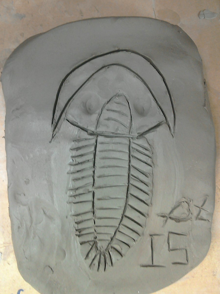 Amaia_Movie's tweet photo. Fabulous fossil bas-reliefs made during our enrichment week. Year 5, 6 and 7. #ModellingSkills #ArtScience https://t.co/4XXyVdjS8m