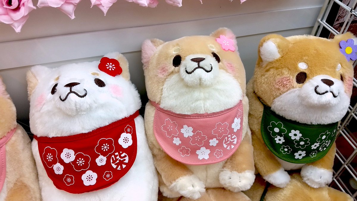 Mecha天保山店 Pa Twitter 好評稼働中 忠犬もちしばガールズおしゃれぬいぐるみ 新しいメンバー さくら を含むもちしばガールズの ぬいぐるみ ブースも女子力高めに仕上がっております 忠犬もちしば ゲームセンター プライズ Ufoキャッチャー 海遊館