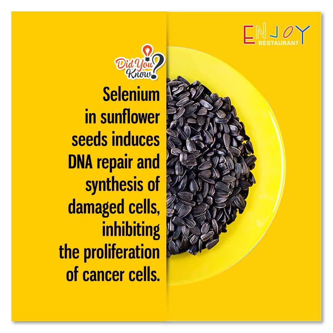 rajhans_group's tweet photo. #DYK #SunFlowerSeeds #EnjoyRestaurant #Surat #Valsad #RajhansDesaiJainGroup https://t.co/KjHE27jvaO