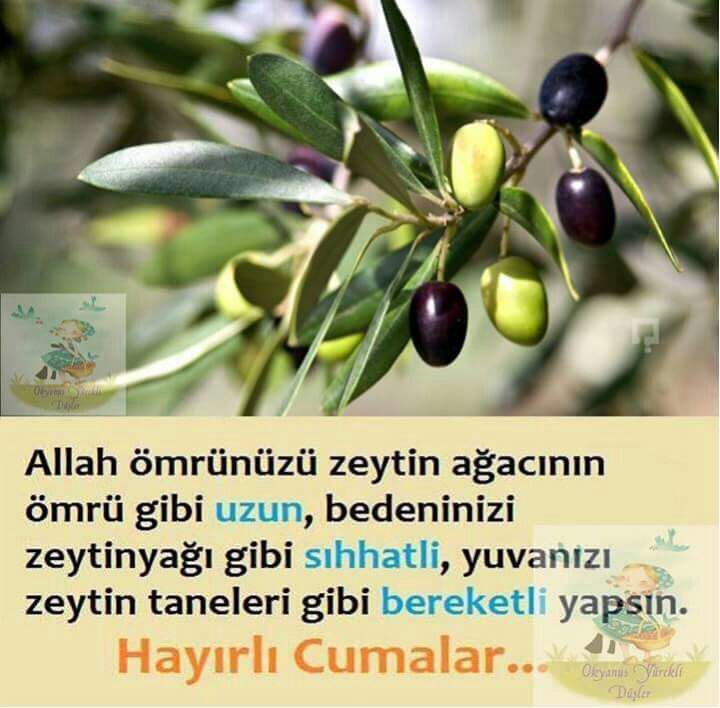 Hayırlı cumalar