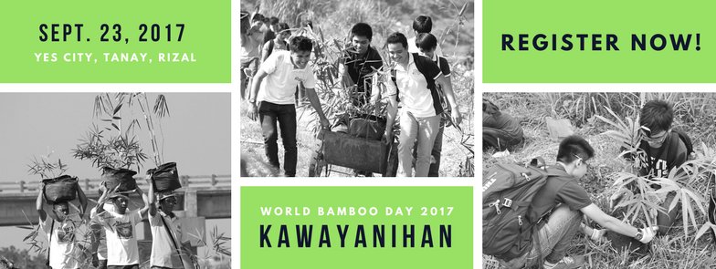 alcfoundationph's tweet photo. @Bamboomusiclive @fttmPH @OfficialFTTM It's BAMBOO PLANTING! Come and join us on Sept. 23, as we celebrate World Bamboo Day 2017. Click https://t.co/Bk8okGHFo0 for more details. https://t.co/dfv1prDvmR