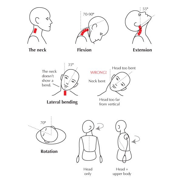 Kiel Figgins on Twitter: "Great breakdown of human body range of motion