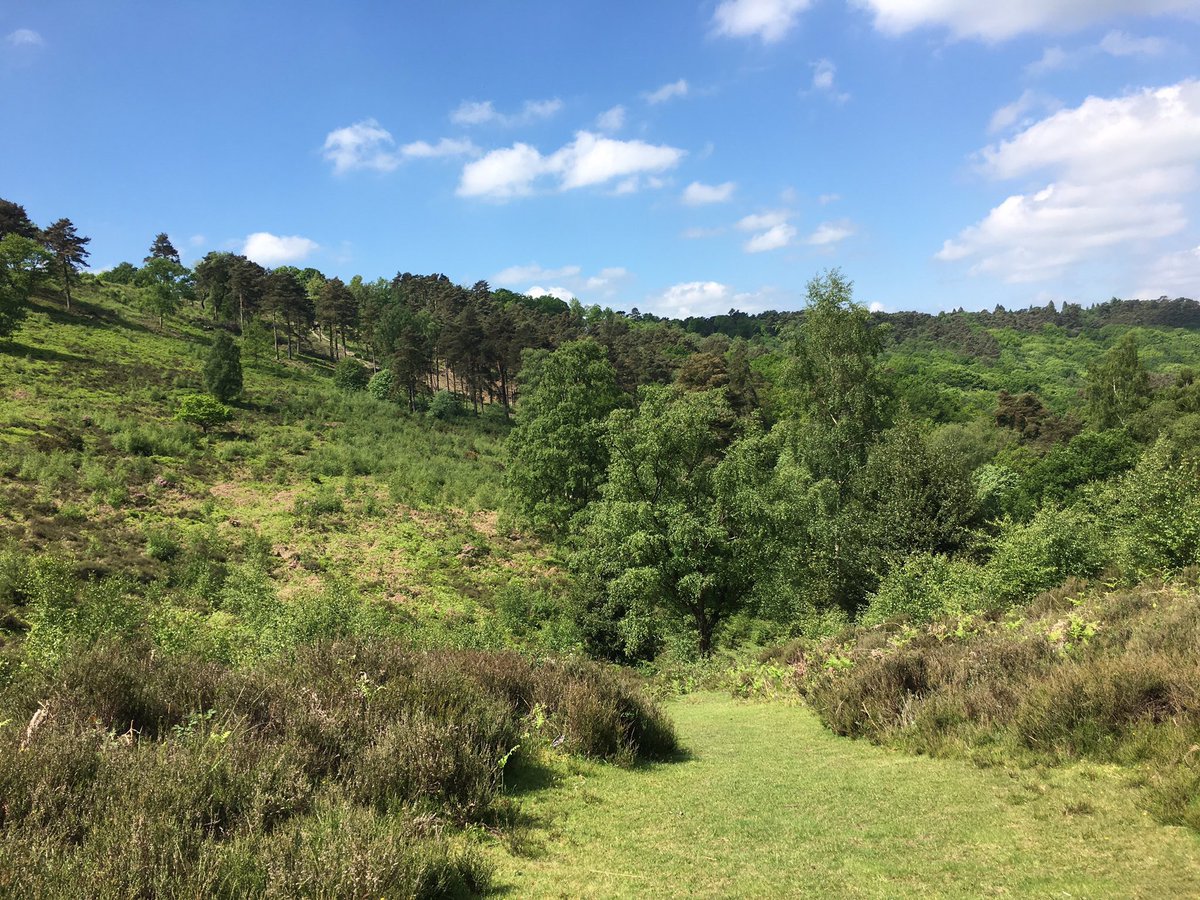 Those who show #negativity to you &amp; others, respond with kindness &amp; love. Your positivity will be felt #FridayThoughts #meditation #wisdom