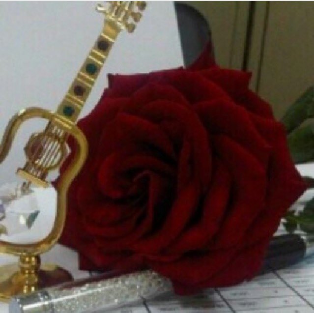 FafssSasas's tweet photo. https://t.co/iHGv7gjQl9