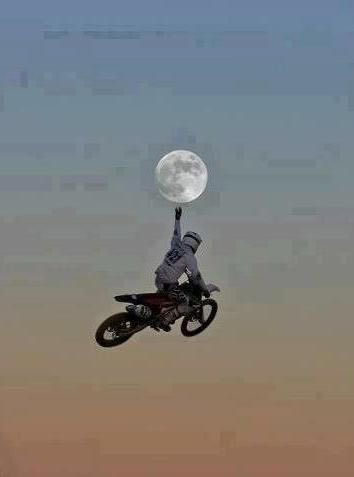 The brave may not live forever, but the cautious never live at all.