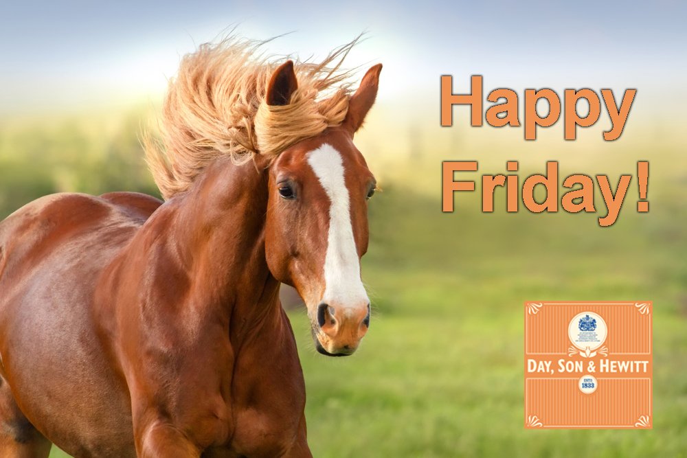 DaySonHewitt's tweet photo. It's finally Friday! 

Have a great weekend everyone :) https://t.co/Svnmki6Ix9