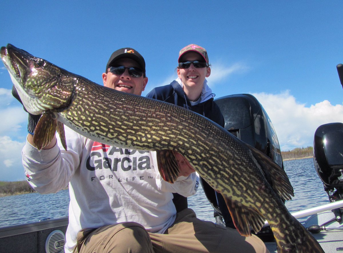 northangling's tweet image. We hope the the bite is good this weekend wherever you might be wetting a line! 🎣 #fishingfriday #fishing #exploresask #pike #walleye #trout
