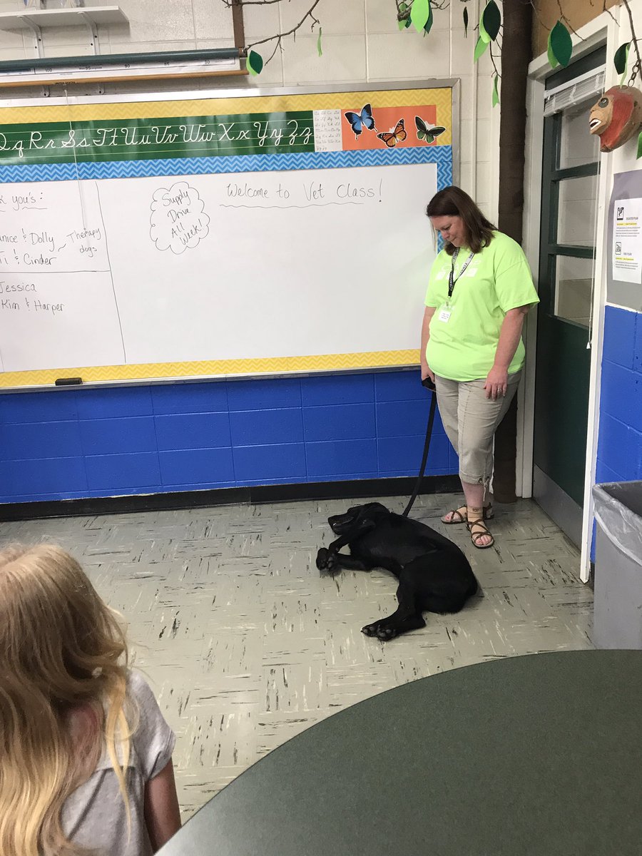 druryprecollege's tweet photo. Training our teachers with clickers might be added to the curriculum #IWantToBeAVet #gifted https://t.co/OFNgjImxZA
