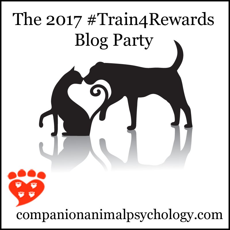 CompAnimalPsych's tweet photo. They're here! A wonderful collection of posts on reward-based training from some amazing bloggers https://t.co/9WcLUuLiRu #Train4Rewards https://t.co/IJq5OSWf7J
