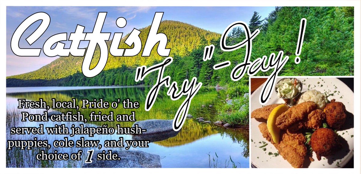 samstaproom's tweet photo. It's Catfish Friday! 🐟🙌🏻 https://t.co/ndcWcyTN59