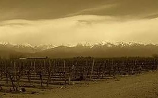 lapichonahotel's tweet image. #intenseexperience #valledeuco #zonda #grown #lacordillera #cordóndelplata #amongvineyards #grandmoment #grandmalbec #mendoza