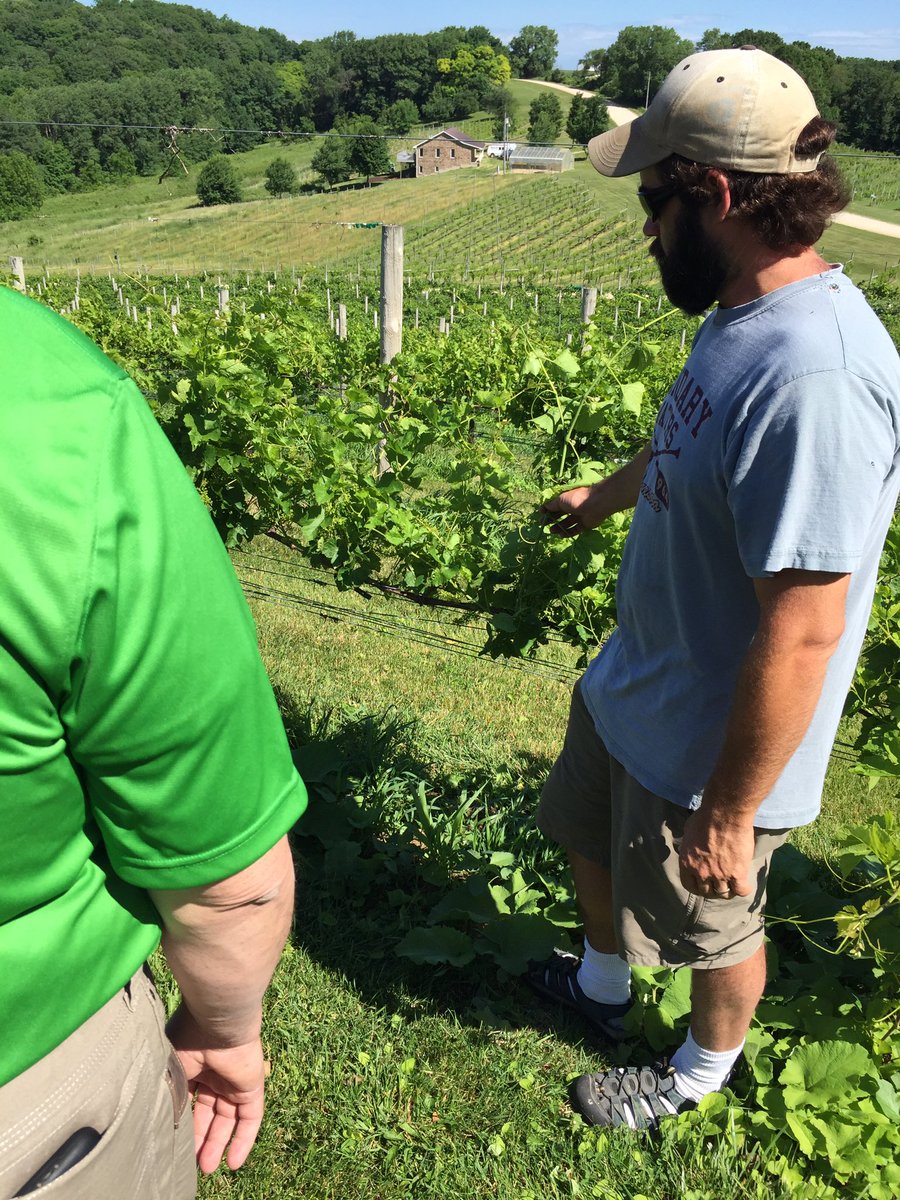 DBQCoExt's tweet image. NEIA Ag Team is learning about growing grapes in Iowa at Park Farm Winery #ISUEO #agteam #isuanr