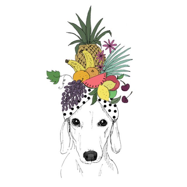 We've got that #FridayFeeling 🍍🍌🍉🍒#FRUITY #dogsoftwitter