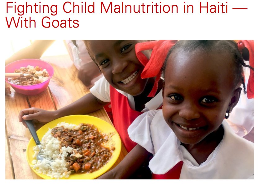 HeiferMedia's tweet photo. A great project with great partners. @WorldRelief @UF @NCState Christianville Foundation https://t.co/9IVQoy7nvO https://t.co/0rPh4HDCqU