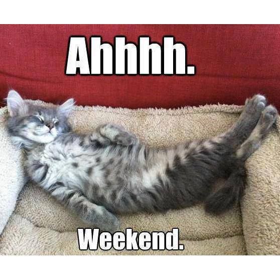 Happy Weekend Seahawks! Take some time to relax and enjoy all that Wilmington has to offer! See you next week at Teal Tuesday!