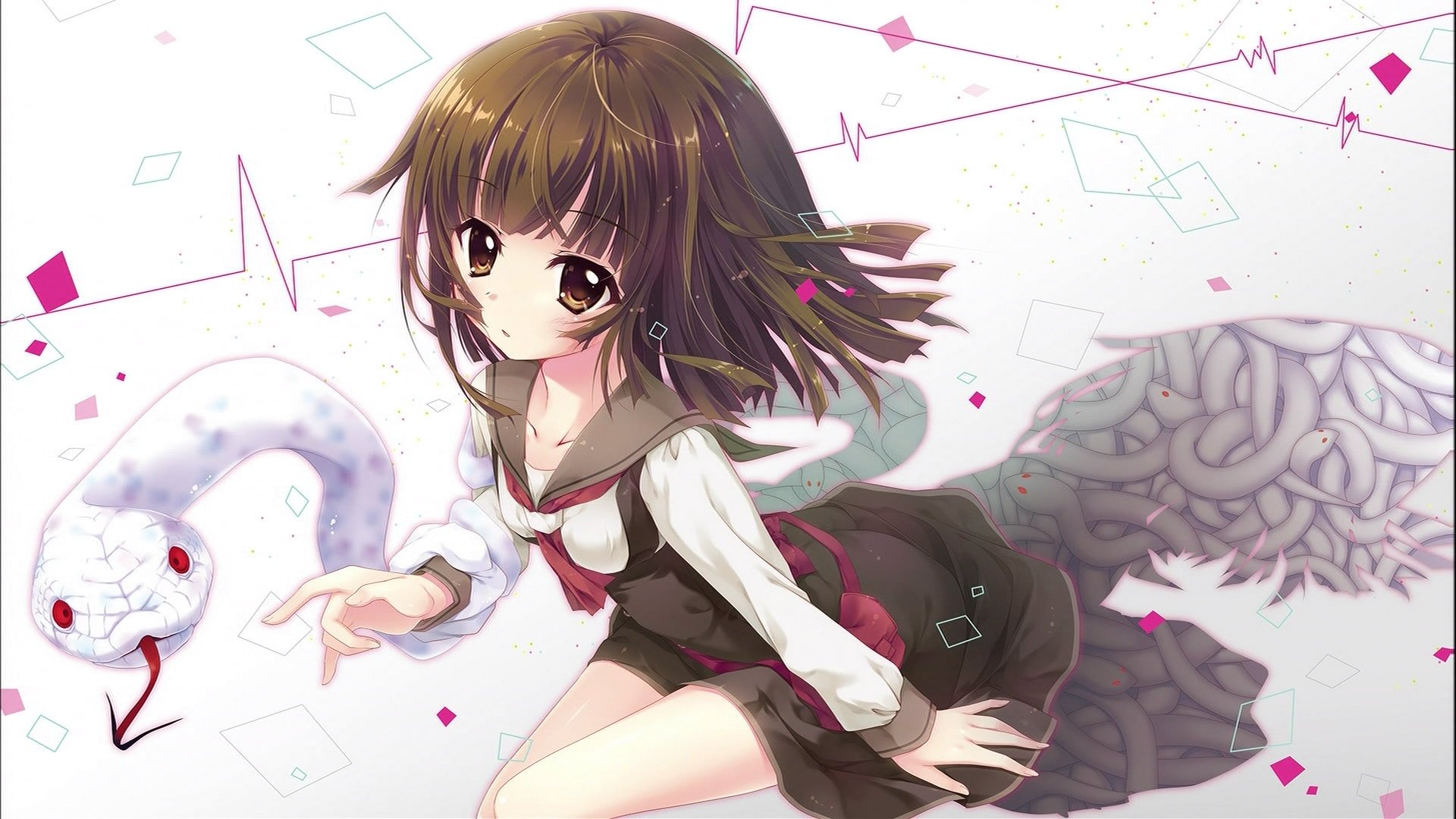 嘲笑のひよこ すすき 終物語 第十話 しのぶメイル 其ノ肆 エンドカード 絵師 和泉つばす この可愛さがわかる人rt 可愛いと思ったらrt 物語シリーズ Monogatari 終物語 しのぶメイル 和泉つばす