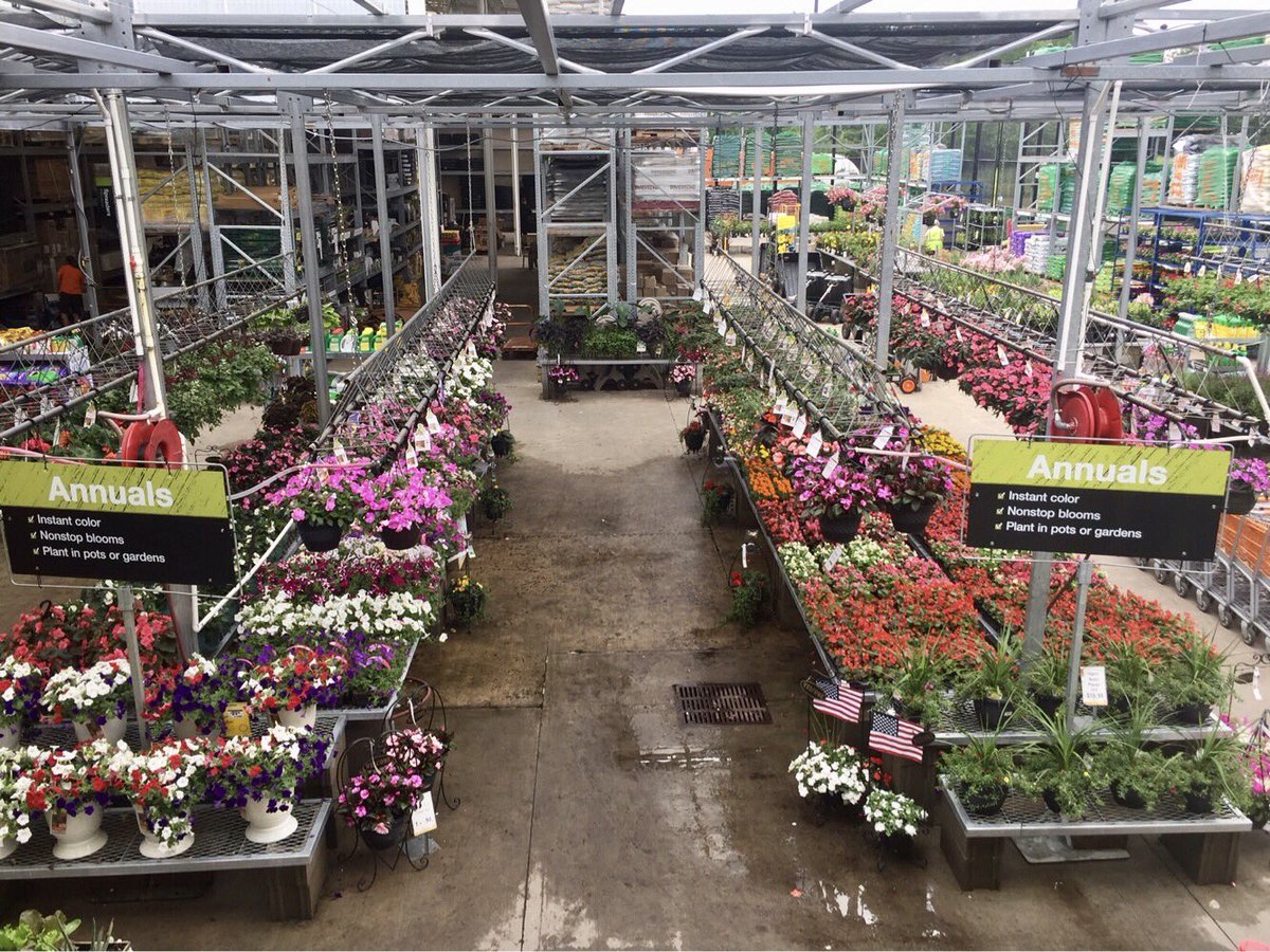MicandyHD's tweet photo. Colorful Michigan Annuals!  @HomeDepotGaylor @anzarut1 @KOKOLGM @kelly_mayhall @PureMichigan https://t.co/TYJd7hBrgk