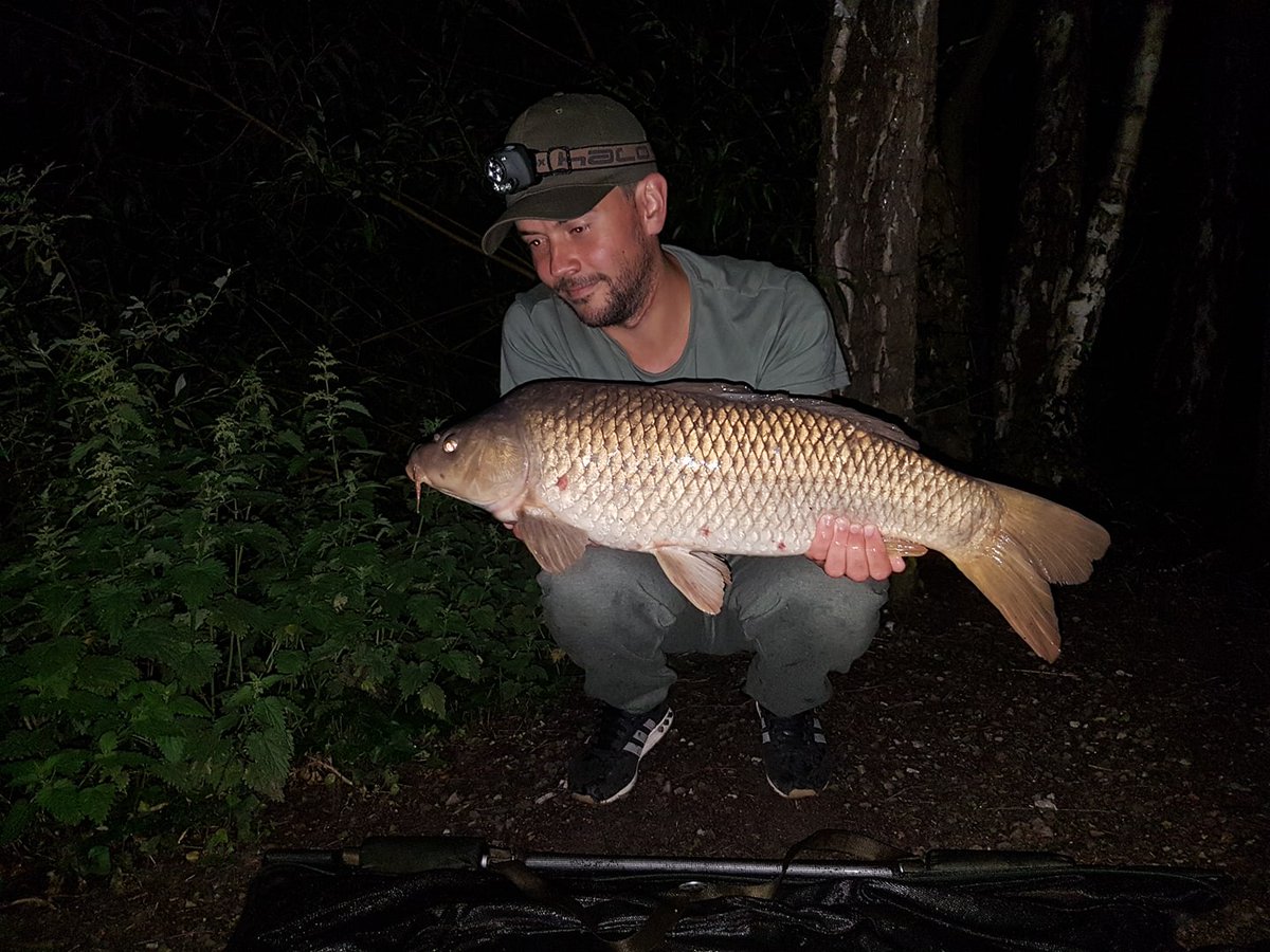 FishermanPoolie's tweet photo. So a couple of quick o/night sessions between work on the old mere have proved fruitful! @CarpBSolutions L030 doing the business as usual ! https://t.co/GH7Ushslxj
