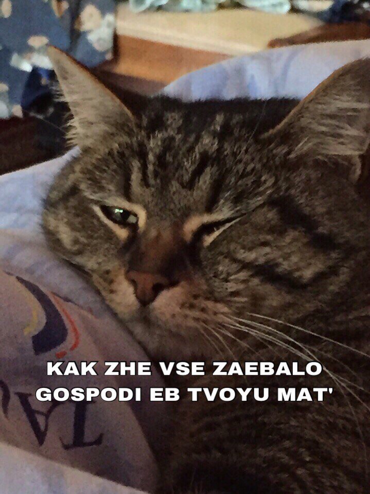 znajomawrona's tweet photo. June v odnoj picture https://t.co/zVjEgVbXGI
