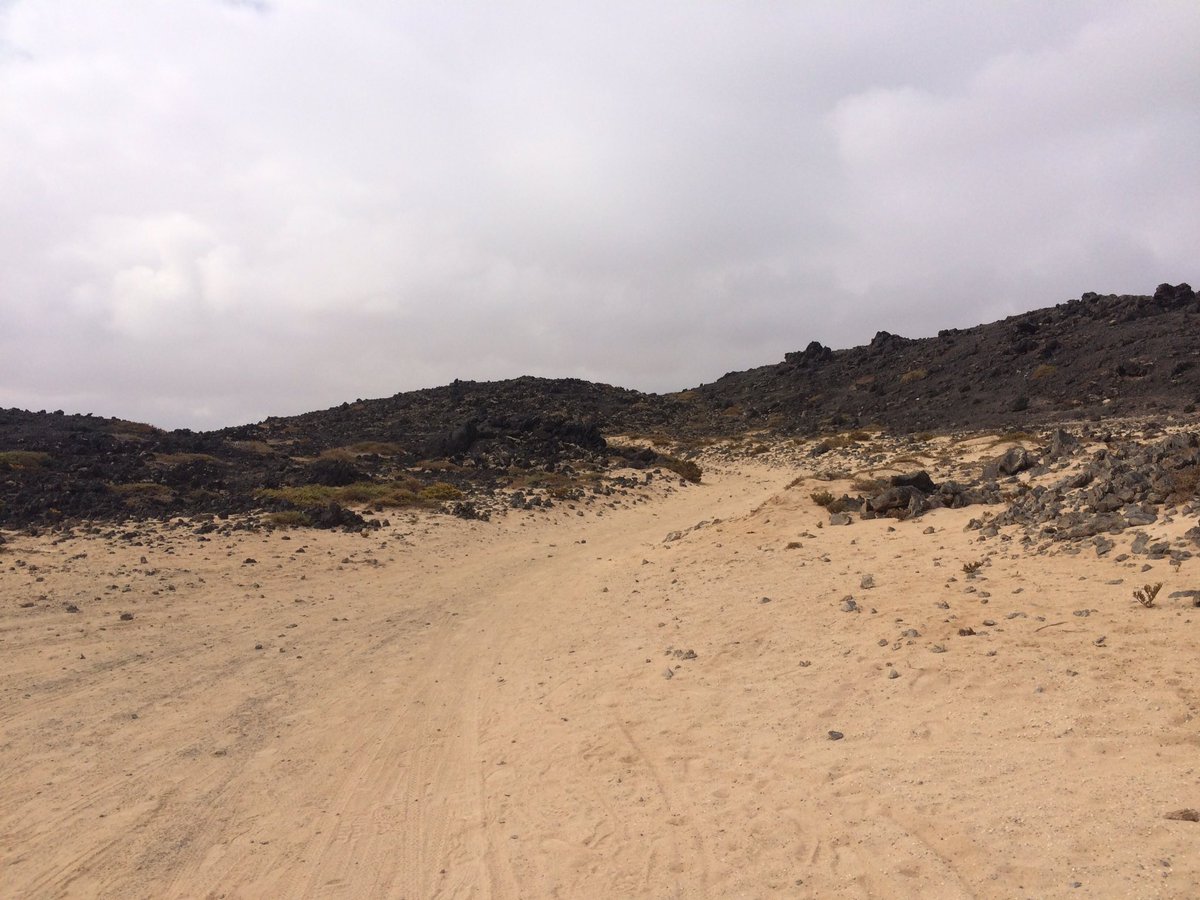 gems_carter's tweet photo. Feeling tropical with my choice of fuelling on holiday. Mountains, sand, and dusty trails. #sandybits #pineapple #sweatymess #TORQfuelled https://t.co/fV584vkMri