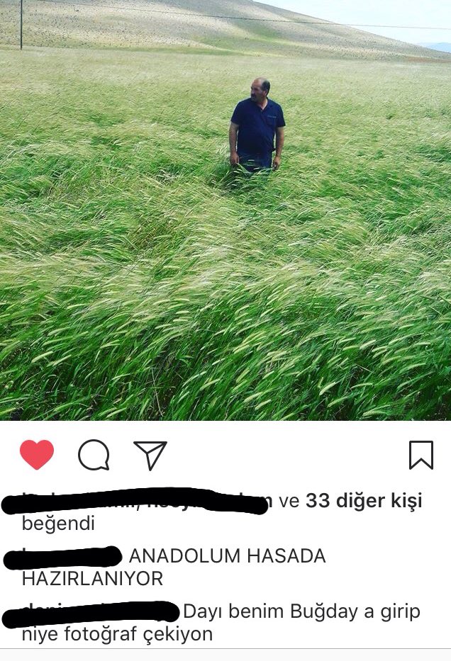 okademi's tweet photo. Kapitalizm özeti: Babam, bütün Anadolu çiftçisine tumblr pozu ile selam ederken halamın oğlu özel mülkiyet vurgusu yapıyor. https://t.co/Et2raIsscf