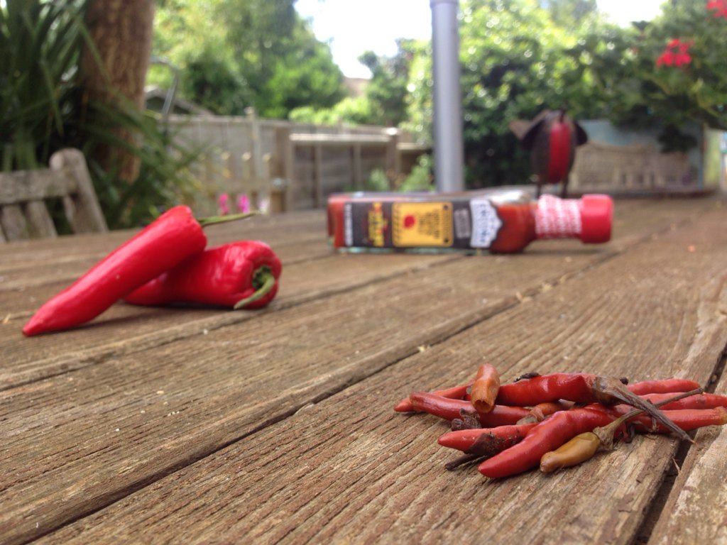 RealDoctorStu's tweet photo. Hot day! #Didyouknow #chilli tweaks body's thermostat to keep us cool?! #enconafacts #carolinareaper @enconaofficial https://t.co/3f6NxsTlQF