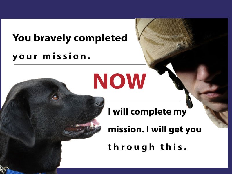 k9sforwarriors's tweet photo. Service dogs are the light at the end of the PTSD tunnel. https://t.co/oOOKW5XblH
#PTSDAwarenessMonth #ServiceDogsSaveLives @Bayer4Pets https://t.co/wFH5LsS82J
