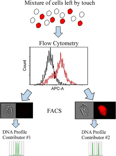 AnalBioanalChem's tweet photo. Analysis of cellular #autofluorescence in touch #samples by #flow #cytometry
by CJ Ehrhardt et al @VCU @VCUFRSC

https://t.co/gQmZz8gq74 https://t.co/dR4LGDyY8C