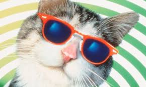 prescription sunglasses from £25