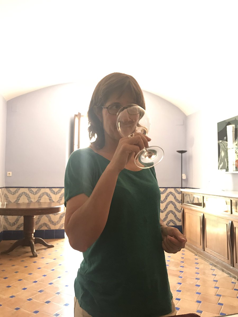 undiaunvi's tweet photo. Què s'amaga dins d'aquesta copa? 😱 Xarel•lo Pairal 1999 @RafolsdelsCaus ! #jocdevins #undiaunvi #agendadevins2018 #larosamola https://t.co/JDEHvyxET0