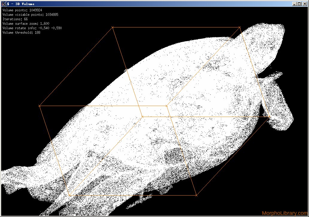 morpholibrary's tweet photo. Making a new product Carettochelys insculpta Pig-nosed Turtle,let's make a good pointcloud data #morphology #Datavisualization #turtle #xlib https://t.co/MmYGhEiqzg