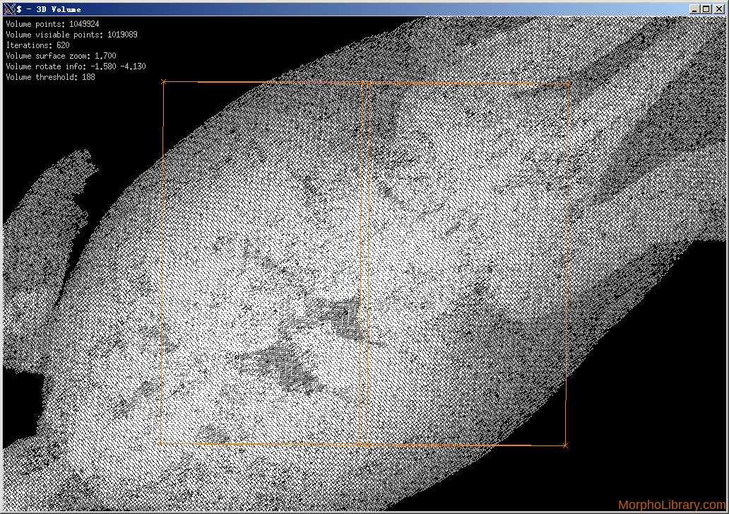 morpholibrary's tweet photo. Making a new product Carettochelys insculpta Pig-nosed Turtle,let's make a good pointcloud data #morphology #Datavisualization #turtle #xlib https://t.co/MmYGhEiqzg