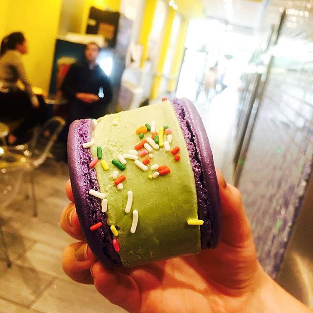 Use Matcha tweet media