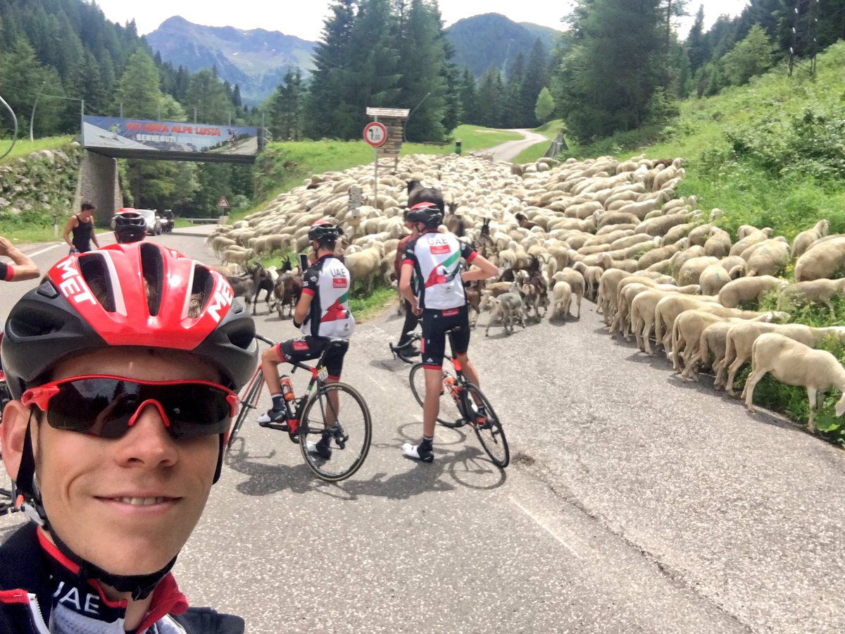 Mountain traffic. . . Good day out training with my @TeamUAEAbuDhabi team mates.