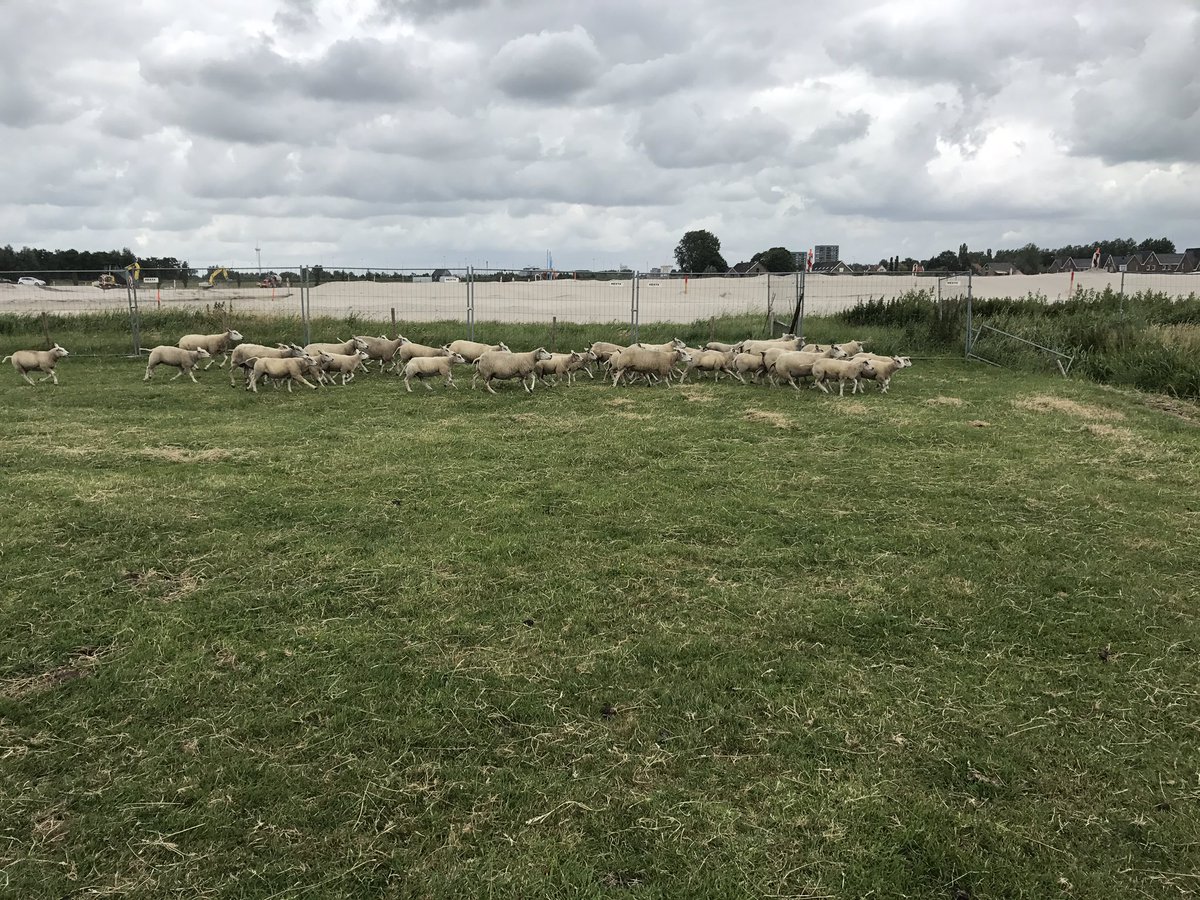 KLOMPENPAD OPEN!
Het Klompenpad naar de GroenBlauwe zone is geopend door Kinderburgemeester Kalala. Vanmiddag is de opening van het gebied.