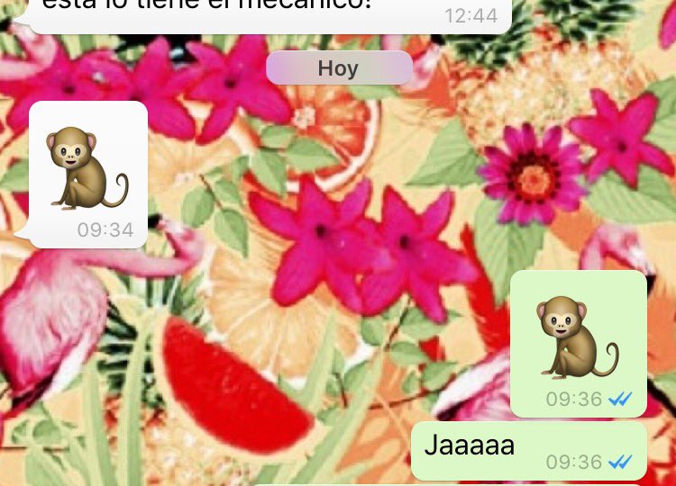 camilentini's tweet photo. @perroscalle 

Me llego un monito! Me cambio el dia🐒😊 https://t.co/Y295LDGjSl