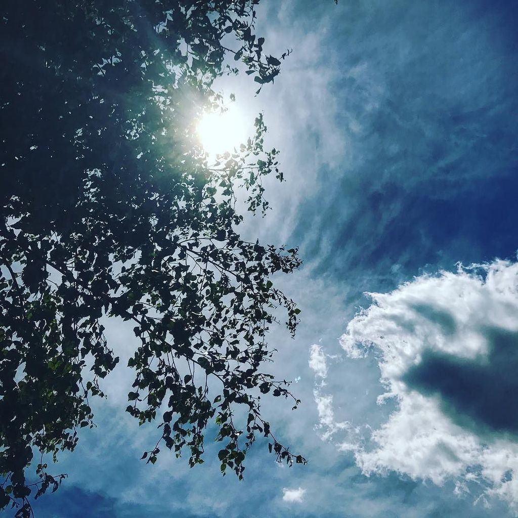 BushTimes's tweet photo. Sitting under a tree enjoying life🍻 #naturelovers #outdoorslife #travelgram #sunnyday #clouds #wildlifephotography… https://t.co/2Htuz0GV8V https://t.co/JJ97REAt2T