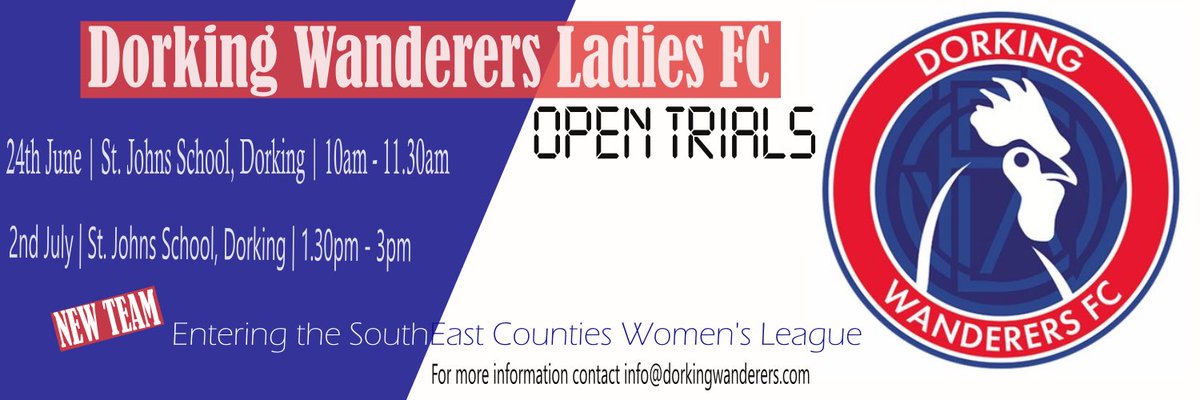 Dorking WDRS Ladies tweet media