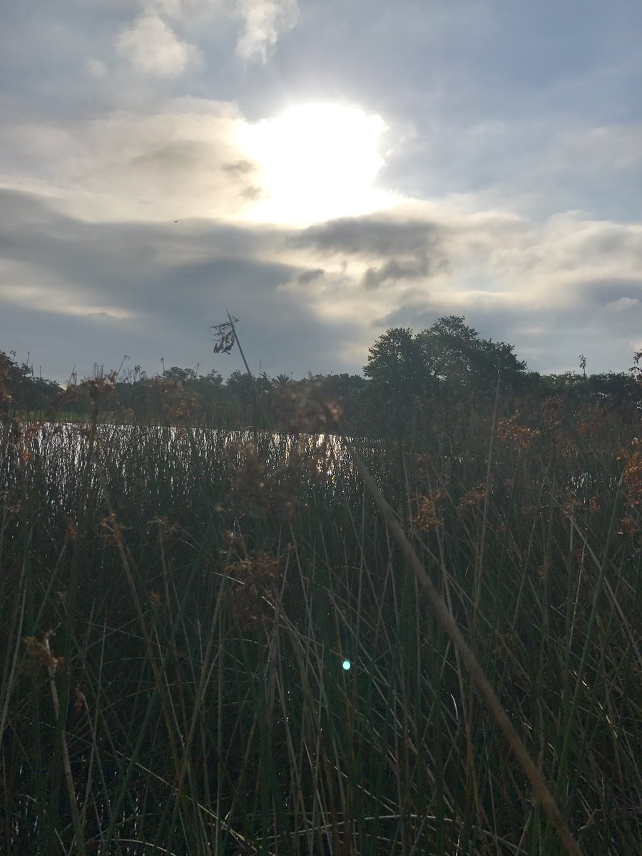 NOLA_Sphere's tweet photo. Morning NOLA! #nolasphere #morningwalks #summer https://t.co/3W00DKepwS