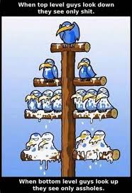 4tealor's tweet photo. @DogsareLoyal1s @YouTube preferred #RedDiaper🐀 MO advancing corporate goals:using moments Kollective trauma4💣 social & economic engineering https://t.co/7Wawi8mj0U https://t.co/ADD25o9ORv
