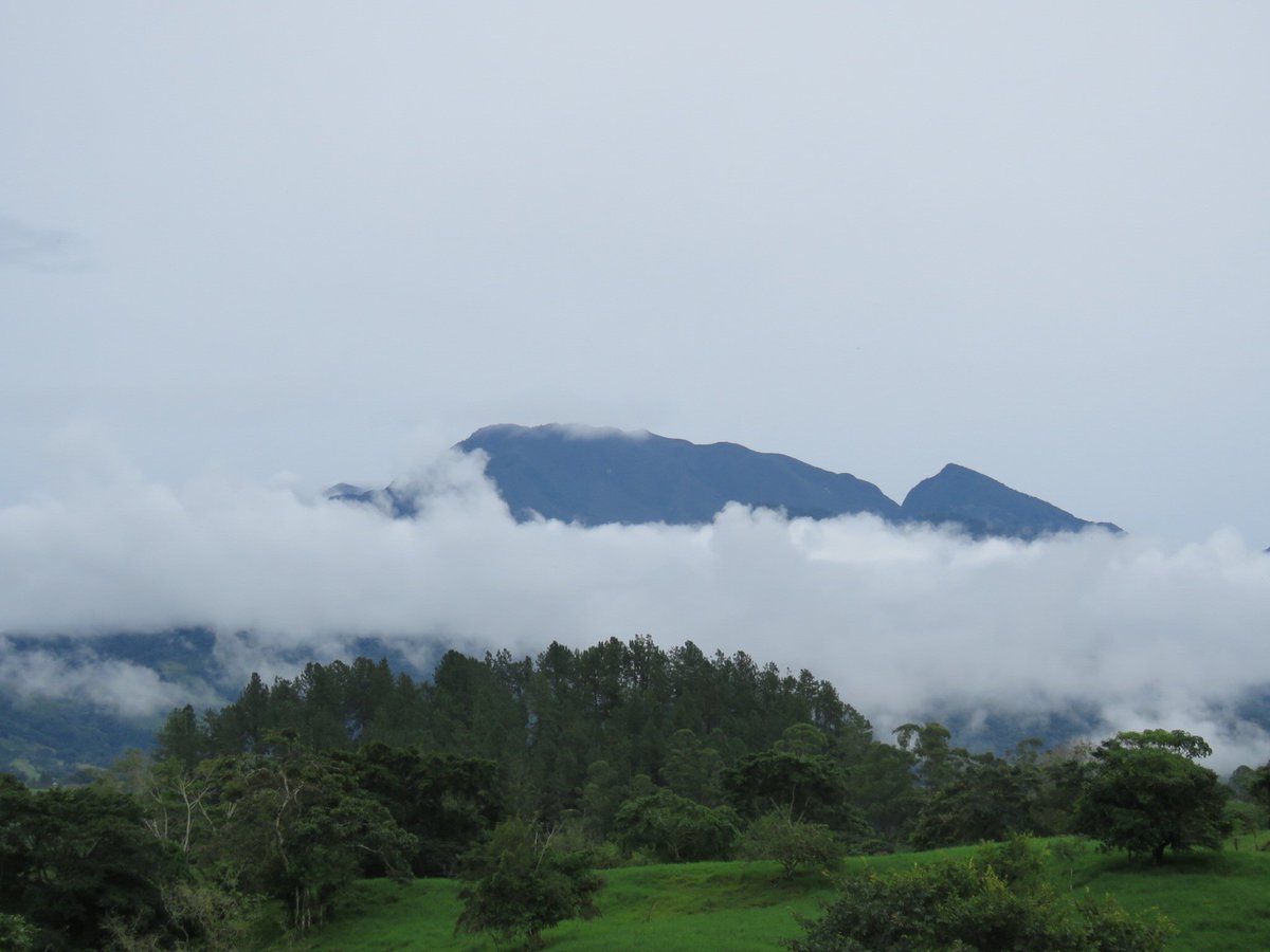 tourschiriqui's tweet photo. Un día hermoso en las tierras Altas en Chiriquí. Así se aprecia la belleza de la naturaleza, en un ambiente agradable https://t.co/uo58iW63gY
