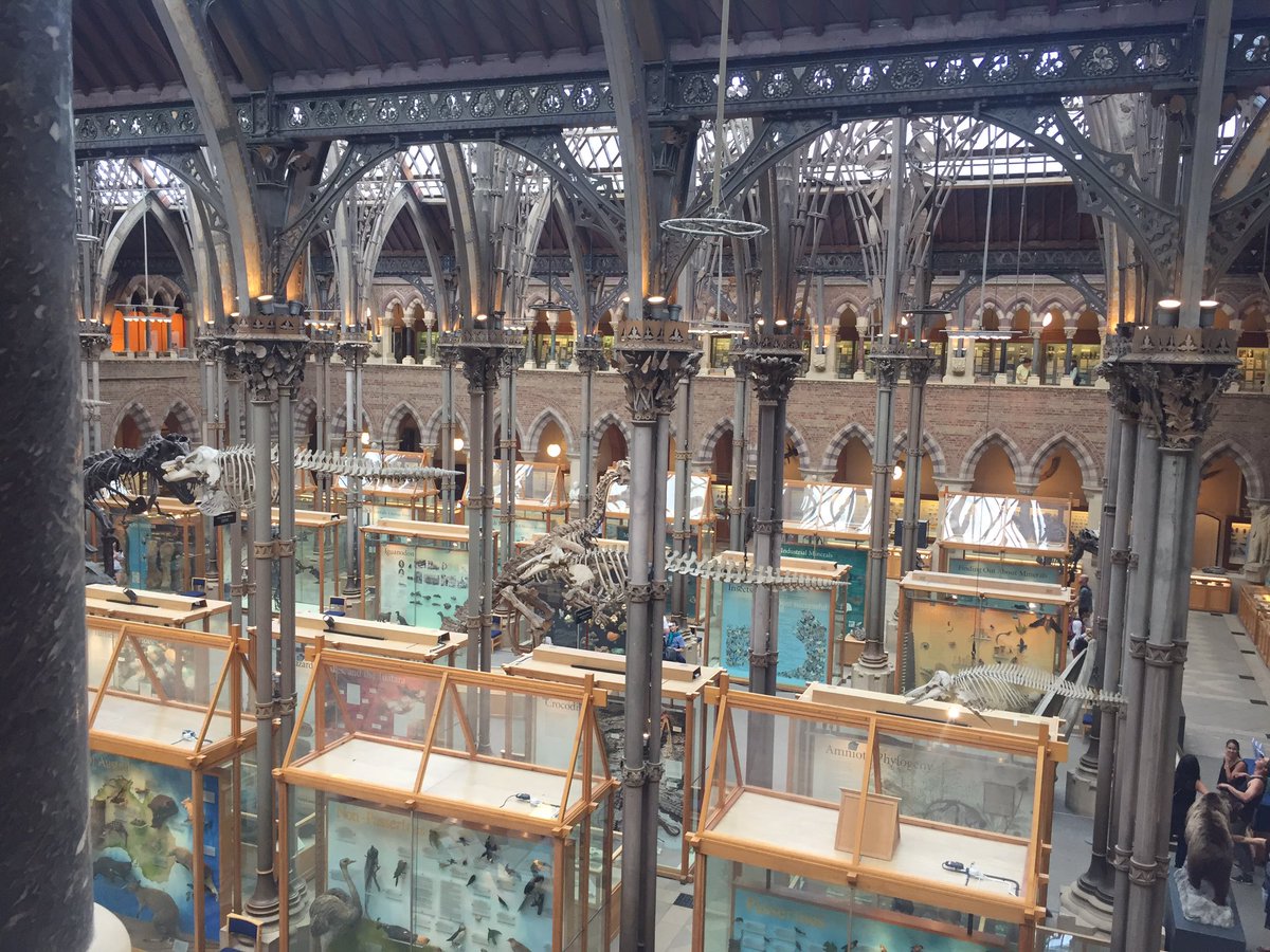 NaomiGarnett's tweet photo. Such a great museum to come to for training #DLNET @DLNET @OxfordASPIRE @morethanadodo #DigitalLearning https://t.co/Fk6sttgb1a