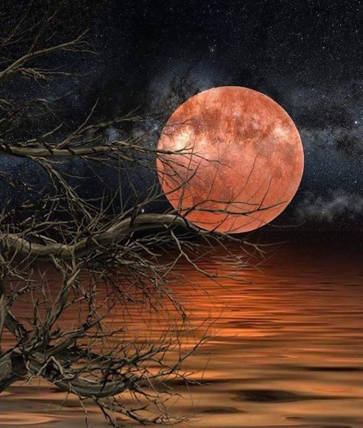 Emma Gouda Emam Goud tweet media