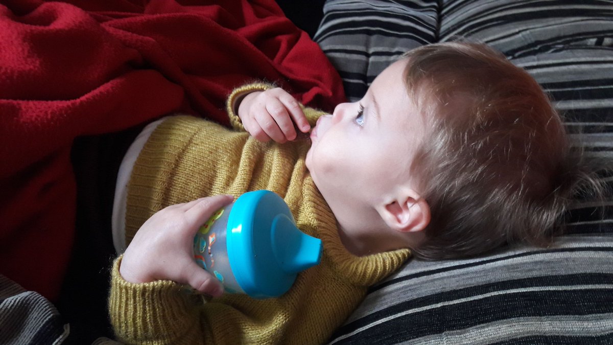 AlineValim1's tweet photo. E hoje não tem escolinha, então é dia de preguiça, dia de ver popó deitado no sofá 😍😍😍 https://t.co/I5HvmL8lgS