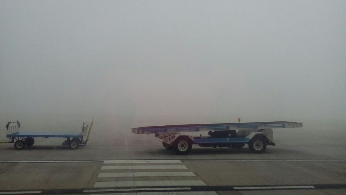 Noticiero 7 SDE tweet media