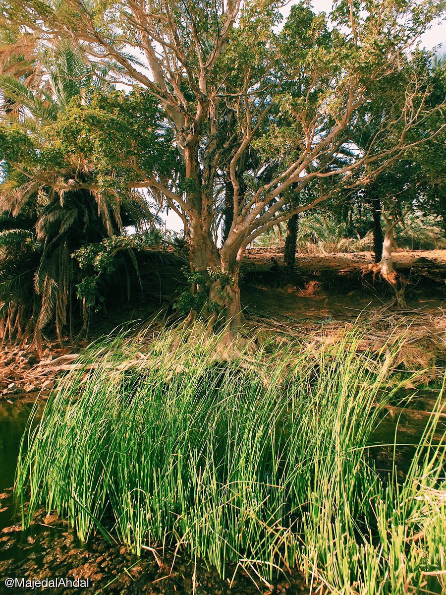 من أبرز آثار رهاط في ديار الروقة العين المسماه بعين النبي صلى الله عليه وسلم